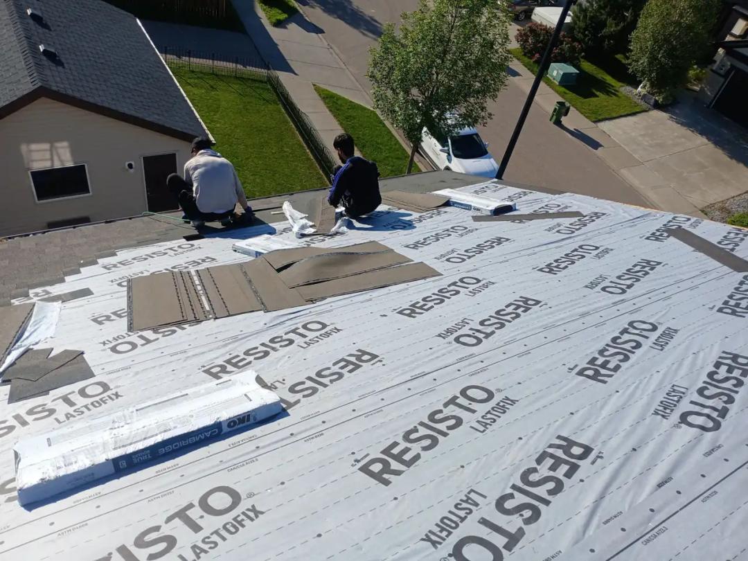 Underlayment and starter course on the roof